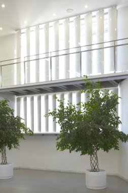 yeşil bitkiler ile modern binanın iç