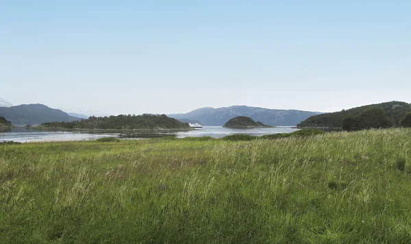 Patagoniska landskapet. vegetation och sjön med en kryssning — Stockfoto