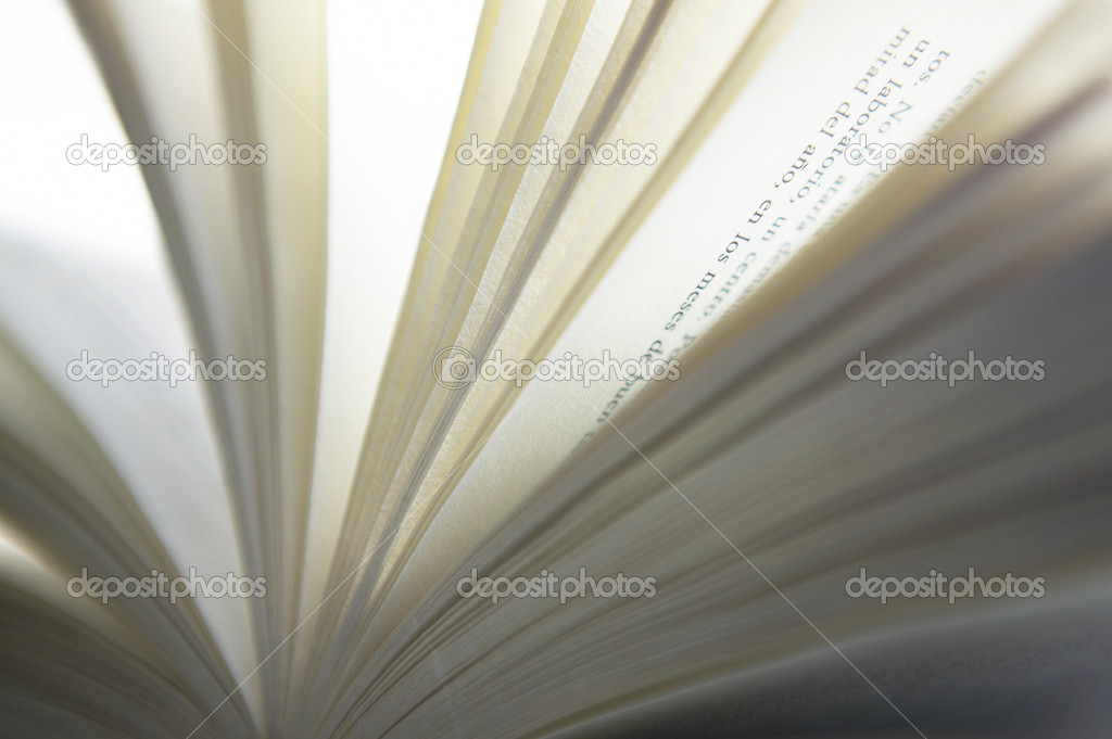 Detail of an open book in warm tone