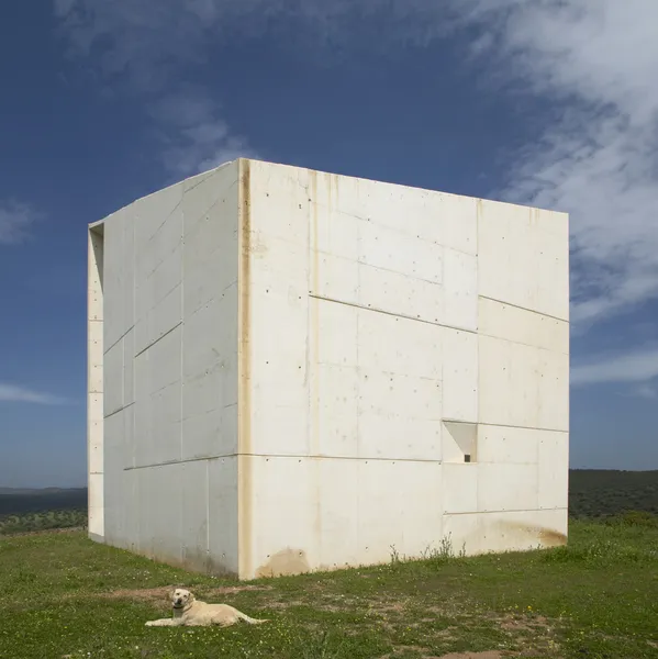 Concrete monolith. Landscape with dog. Ciudad Real. Spain. — Stock Photo, Image