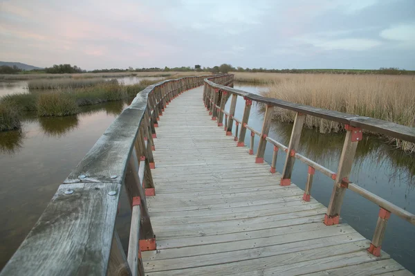 Footbridge walkway. Wetland landscape. Sunset. Tablas de Daimiel — Stock Photo, Image