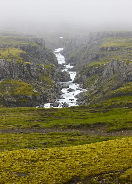 Iceland landscape in the east fiords. River and rocks with fog. — Stock Photo, Image