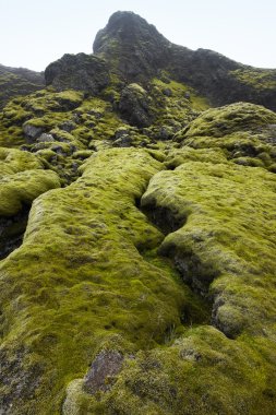 İzlanda. Güney bölgesi. lakagigar. volkanik manzara.