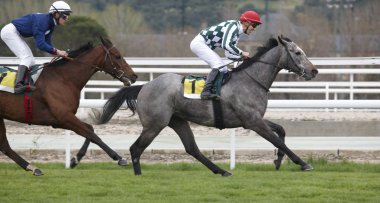 yarış atları ve parça çalışan jockeys