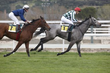 yarış atları ve parça çalışan jockeys