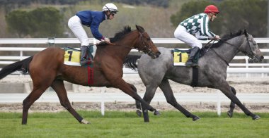 yarış atları ve parça çalışan jockeys