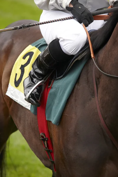 Race horse and jockey ready to run — Stock Photo, Image