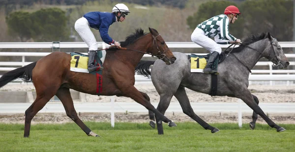 yarış atları ve parça çalışan jockeys
