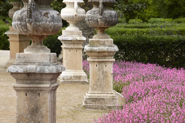 Trädgård med lila blommor, buskar och kolumner — Stockfoto