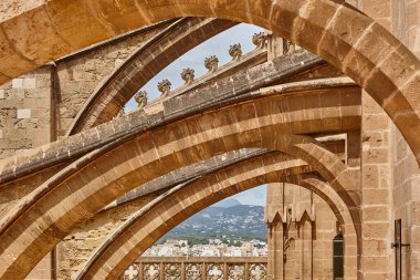 Palma de Mallorca katedrali uçan payanda. Balear adaları. İspanya            