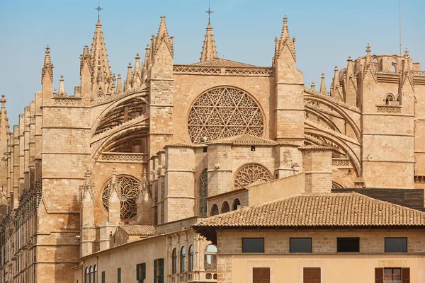 Palma Mallorca Katedrali Balear Adaları Spanyol Kültür Mirası Spanya — Stok fotoğraf