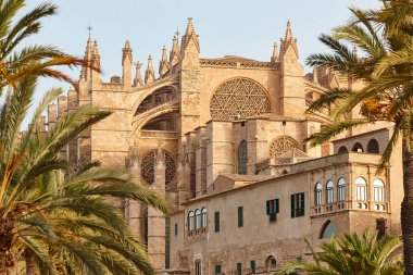 Palma de Mallorca Katedrali. Balear adaları. İspanyol kültür mirası. İspanya