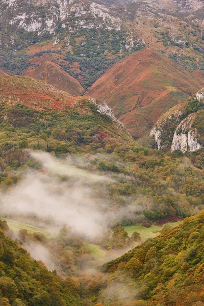 ピコス エウロパ山脈 アストゥリアス州の秋の風景 スペイン — ストック写真