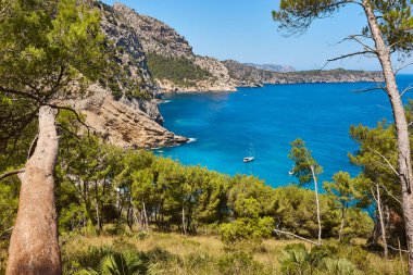 Mallorca 'da turkuaz sular. Coll Baix plajı. Akdeniz kıyı şeridi. İspanya