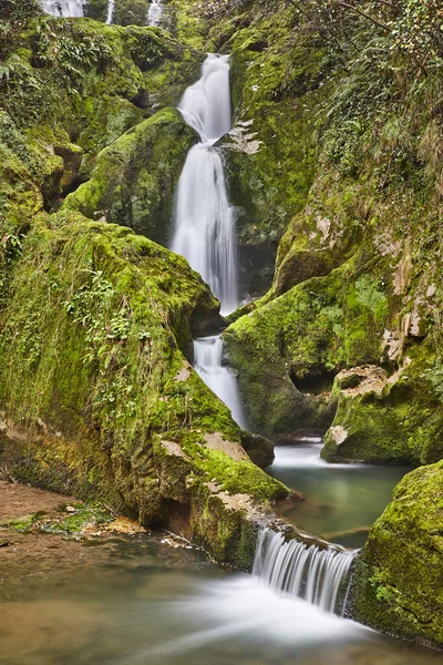 Groen Fris Landschap Met Waterval Covadonga Asturië Spanje — Stockfoto