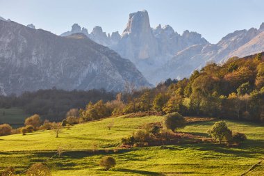 Asturias 'ta sonbahar manzarası. Naranjo de Bulnes. Picos Europa. İspanya