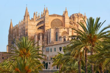 Palma de Mallorca Katedrali. Balear adaları. İspanyol kültür mirası. İspanya