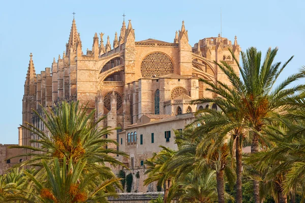 Palma de Mallorca Katedrali. Balear adaları. İspanyol kültür mirası. İspanya