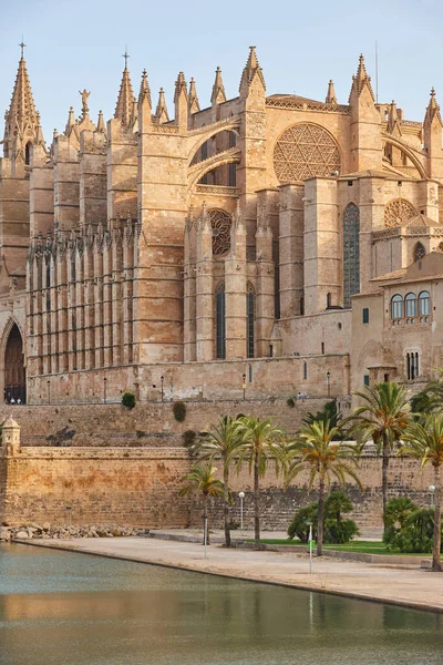 Catedral Palma Mallorca Islas Baleares Patrimonio Cultural Español España — Foto de Stock