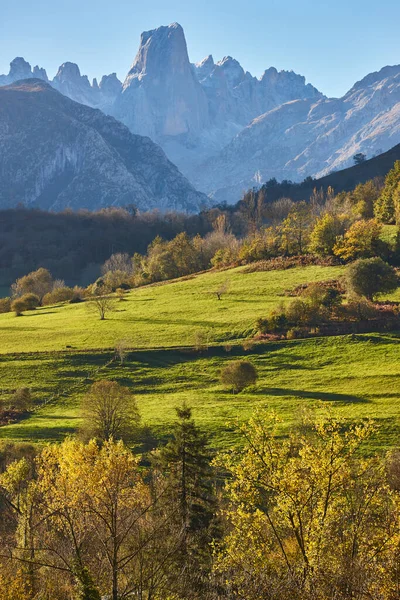 Paisaje Otoñal Asturias Naranjo Bulnes Picos Europa España — Foto de Stock