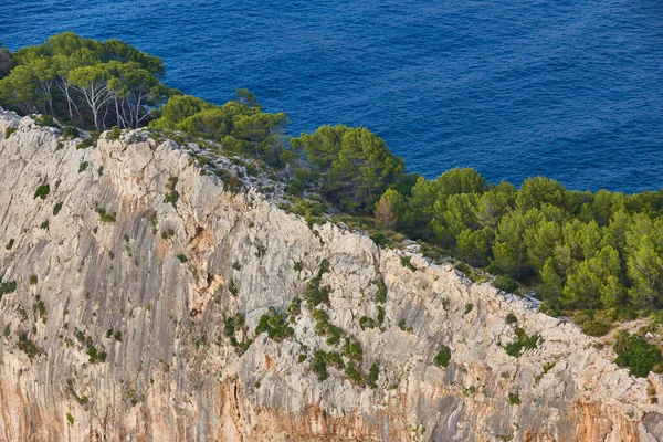 マヨルカ島の岩の崖の視点 トラムンタナ海岸 バレアレスだ スペイン — ストック写真