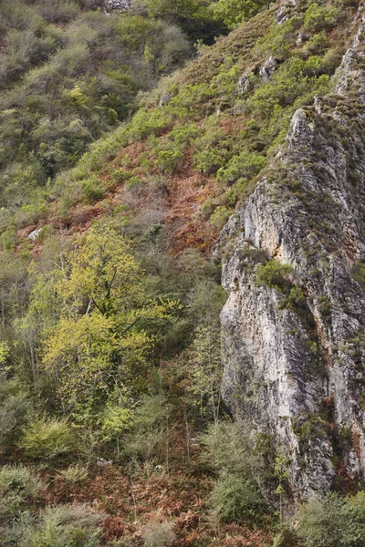 Autumn Rocky Mountain Landscape Asturias Picos Europa Spain — Stok fotoğraf