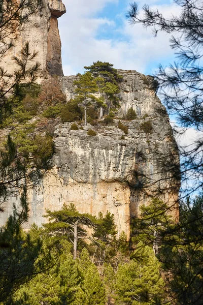 Mountain Rock Pine Trees Hoz Del Beteta Cuenca — Stockfoto