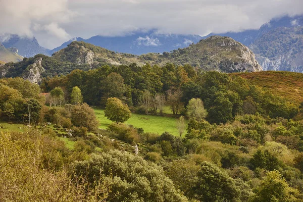 Autumn Landscape Asturias Picos Europa National Park Spain — стоковое фото