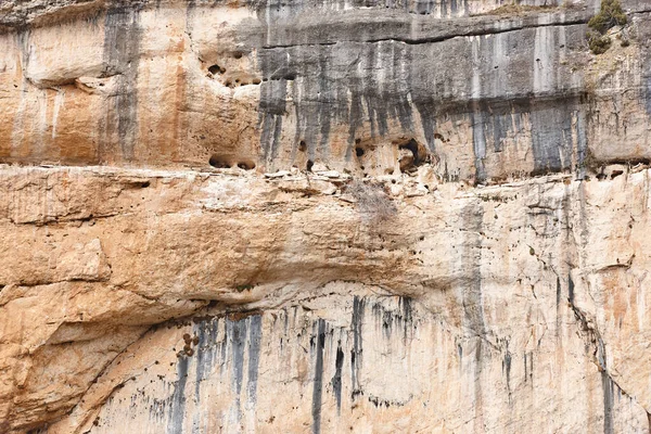 Mehrere Geier Den Felsigen Berghöhlen Cuenca Spanien — Stockfoto