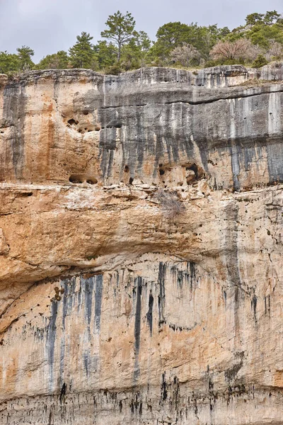 岩だらけの山の中のいくつかのハゲタカ スペインのクエンカ — ストック写真