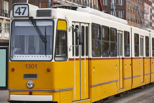 부다페스트의 옐로트웨 전통적 그림같은 대중교통 수단이다 헝가리 — 스톡 사진