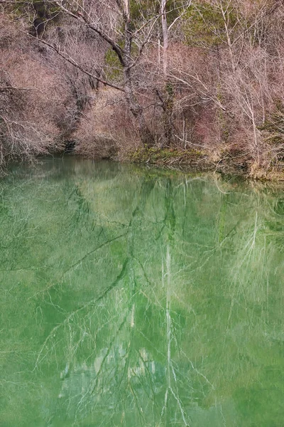 Winterwald Und See Mit Grünem Wasser Feuchtgebiete Gelassenheit — Stockfoto