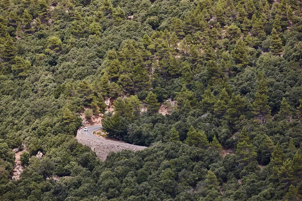 Jalan Berliku Dikelilingi Oleh Hutan Pulau Mallorca Spanyol — Stok Foto