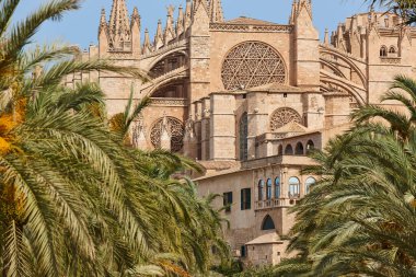 Palma de Mallorca Katedrali. Balear adaları. İspanyol kültür mirası. İspanya