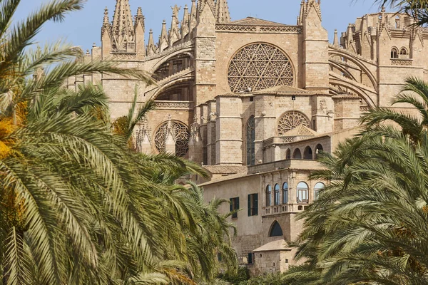 Palma de Mallorca Katedrali. Balear adaları. İspanyol kültür mirası. İspanya