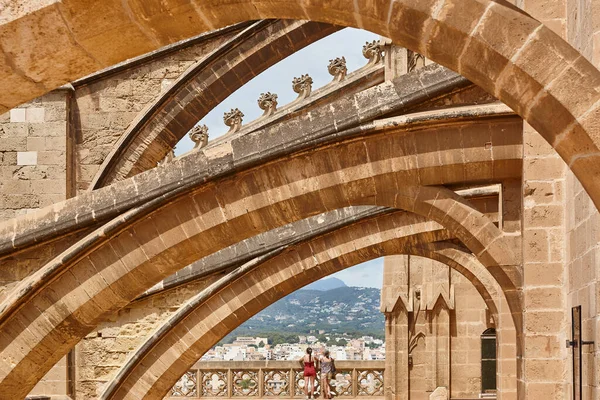 Palma Mallorca Katedra Latające Przyciski Wyspy Balearów Hiszpania — Zdjęcie stockowe