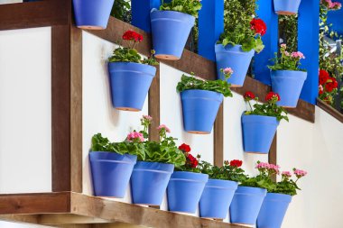 Geleneksel balkon detaylarıyla mavi tonda saksılar. Sardunyalar