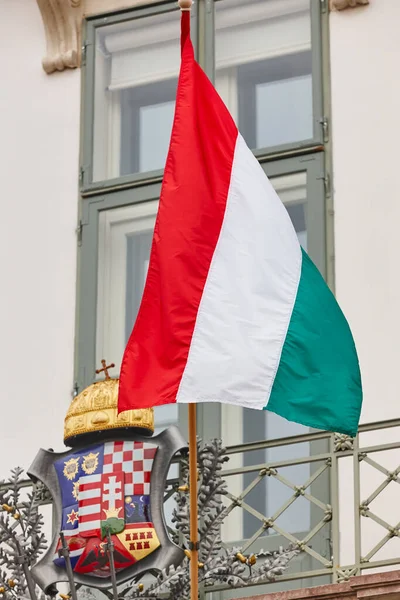 匈牙利国旗和盾牌爱国的纹章符号 欧洲国家 会徽A — 图库照片