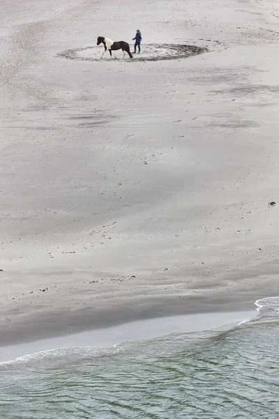 Entraîner Cheval Sur Une Plage Sable Sport Équestre Îles Féroé — Photo