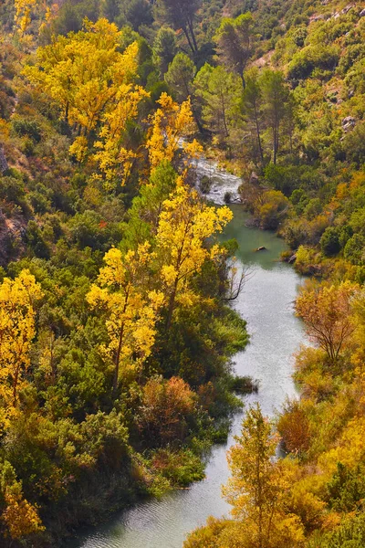 Paisagem Florestal Outono Com Rio Alarcon Cuenca Espanha — Fotografia de Stock