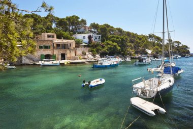 Mallorca 'daki Akdeniz kıyısı. Figuera Koyu. Turkuaz sular. İspanya
