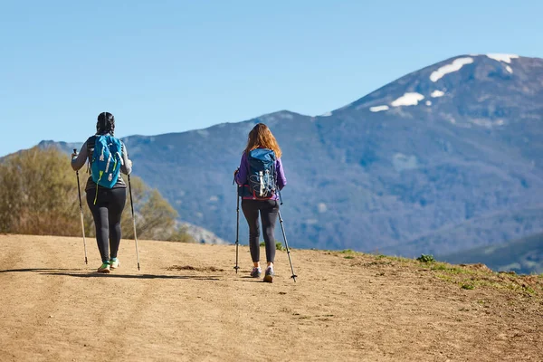 Dos Excursionistas Mochileras Sendero Estilo Vida Saludable Aire Libre — Foto de Stock