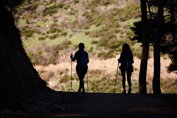 Hikkers Wood Backlight Healthy Lifestyle Trekking — Fotografia de Stock