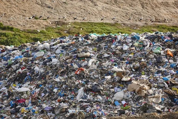 露天垃圾堆 塑料污染 回收垃圾 消费主义 — 图库照片