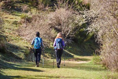 Bir patikada üç kadın gezgin. Açık hava sağlıklı yaşam tarzı