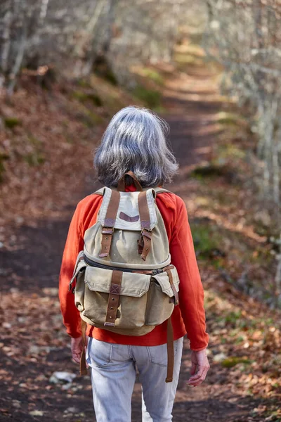Una Mujer Caminando Por Bosque Estilo Vida Saludable Trekking Senderismo — Foto de Stock