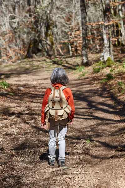Una Mujer Caminando Por Bosque Estilo Vida Saludable Trekking Senderismo — Foto de Stock