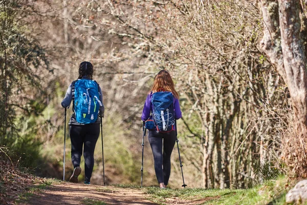 Female Backpacker Hikers Pathway Outdoor Healthy Lifestyle — Stock Photo, Image