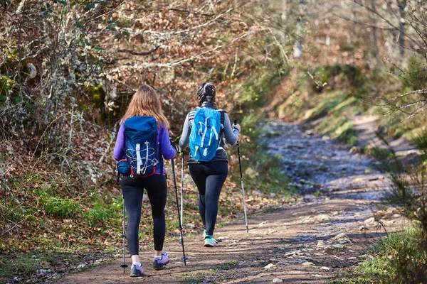 Female Backpacker Hikers Pathway Outdoor Healthy Lifestyle — Stock Photo, Image