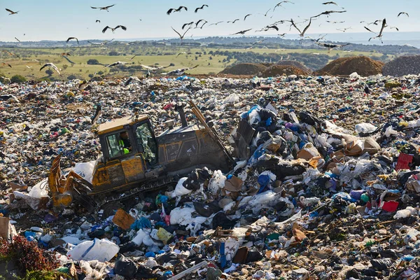 Heavy Machinery Shredding Garbage Open Air Landfill Waste — Foto Stock